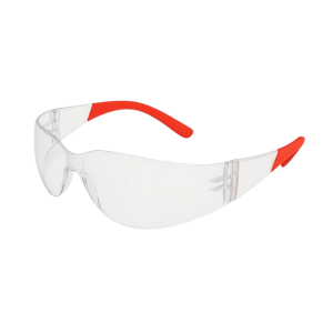 Anteojo de Seguridad DREIER Transpararente
